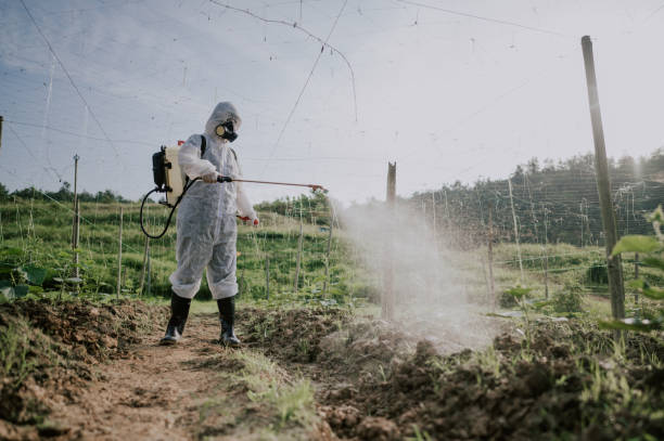 Best Termite Control Services  in Hollidaysburg, PA