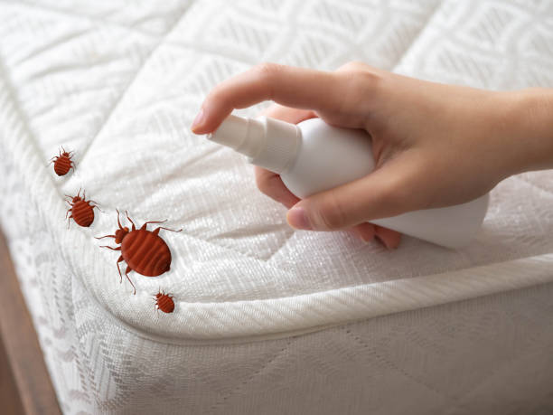 Best Pest Control Treatment  in Hollidaysburg, PA
